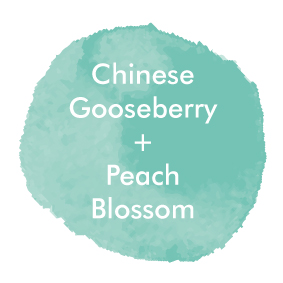 GooseberryPeach_Logo